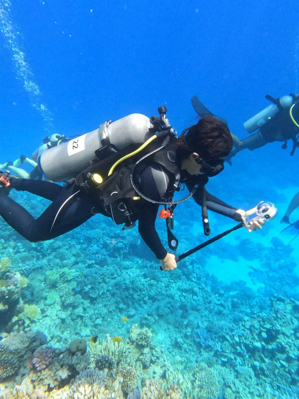 Diving & Snorkeling